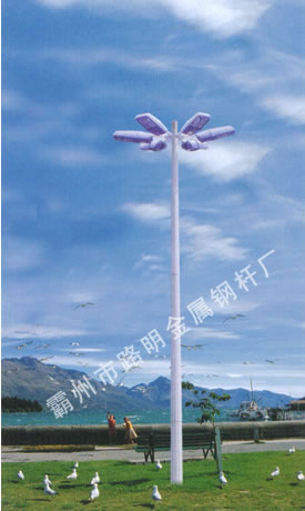 LM-009߸˵