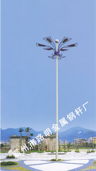 LM-011߸˵
