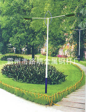 LM-231·Ƹ