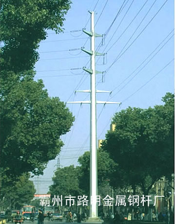 110kV˫·ֱߵ