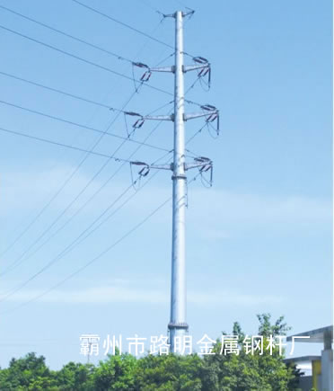 110kV˫·תǵֹܸ