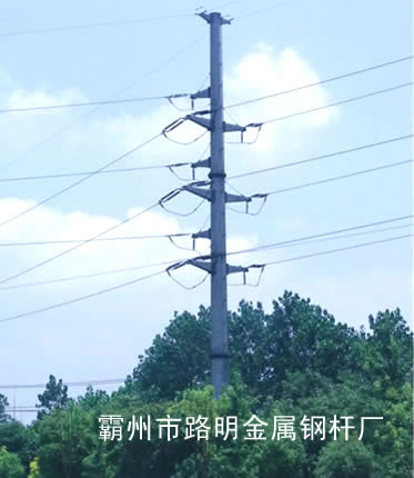 110kV˫·ն˵