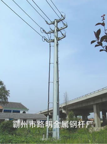 10kV˫·ն˵